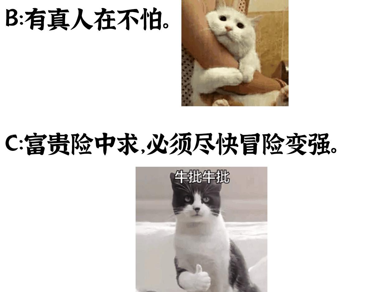 066正邪两道各筹备118