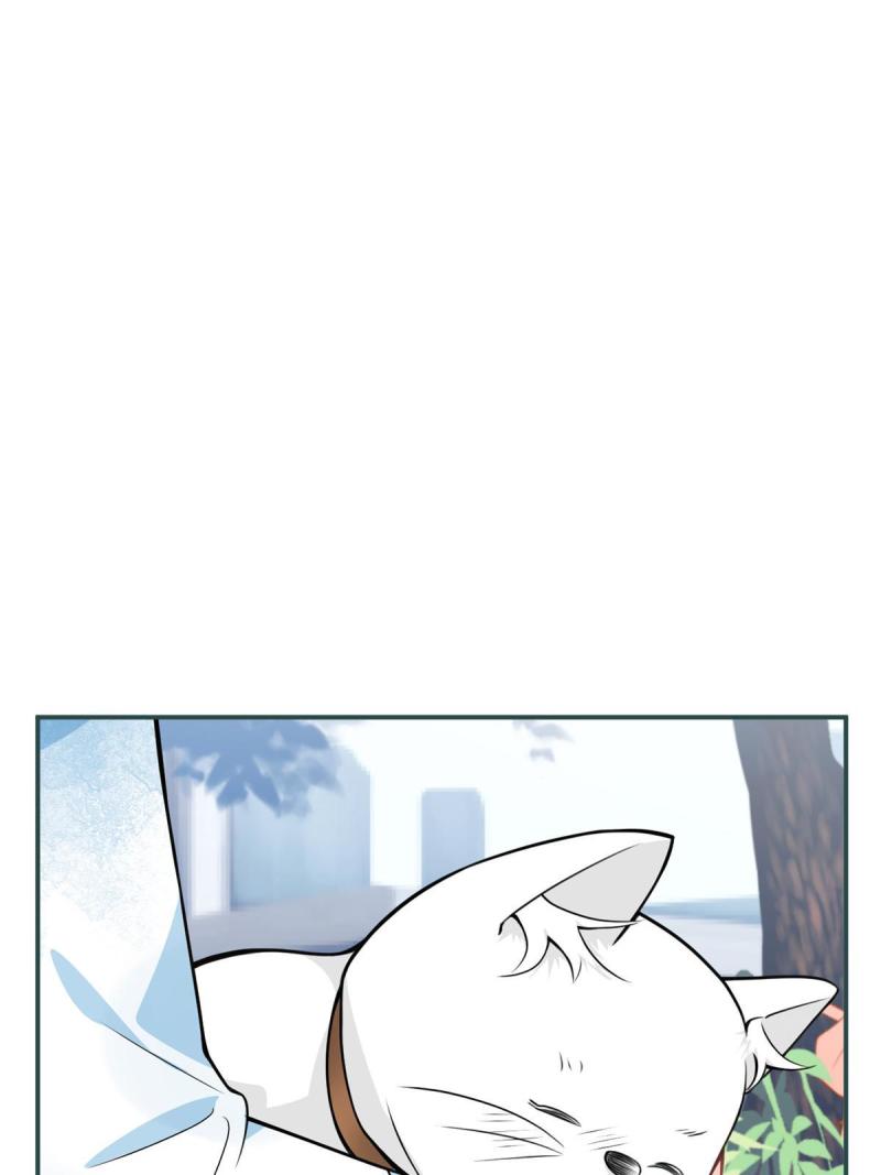 1206