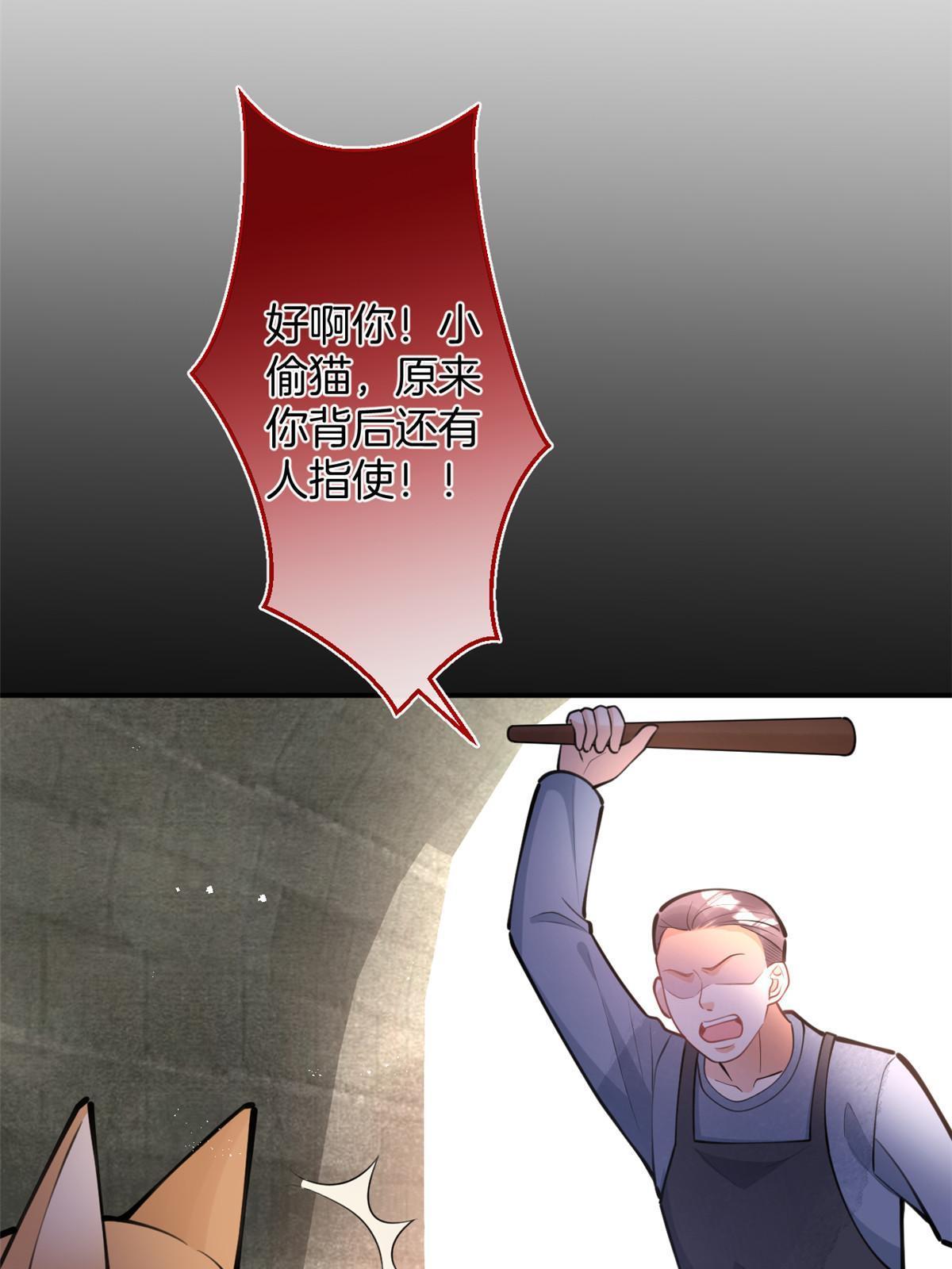 15627
