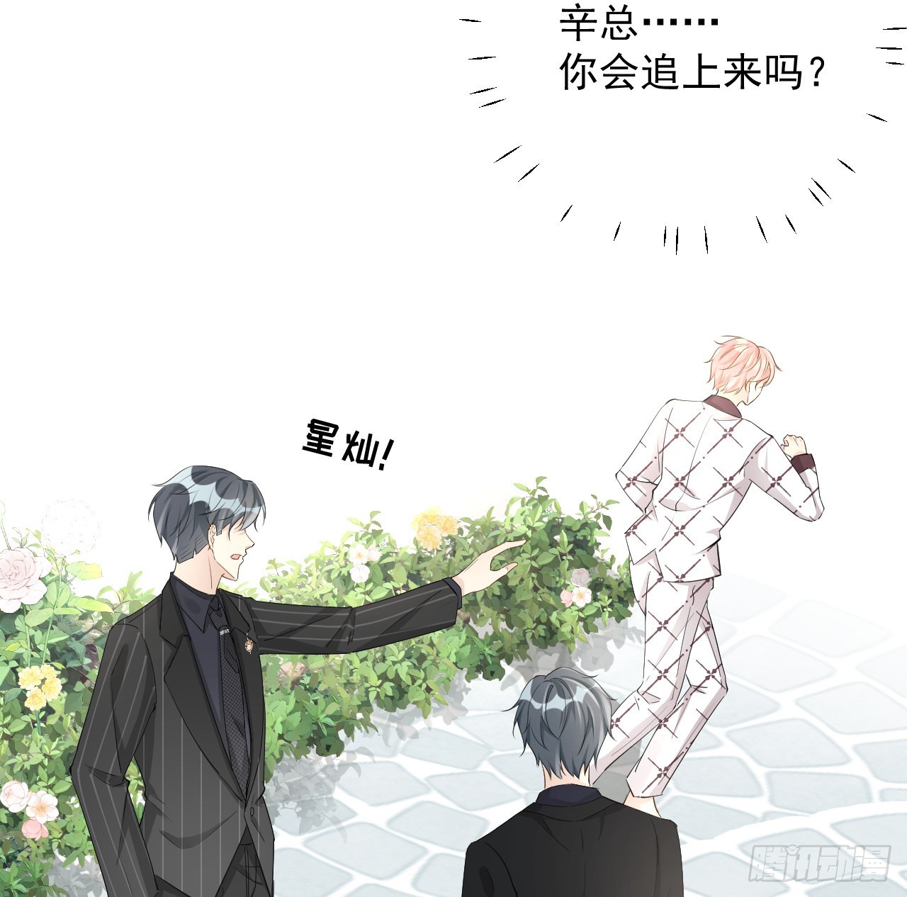 51赌一把默契38