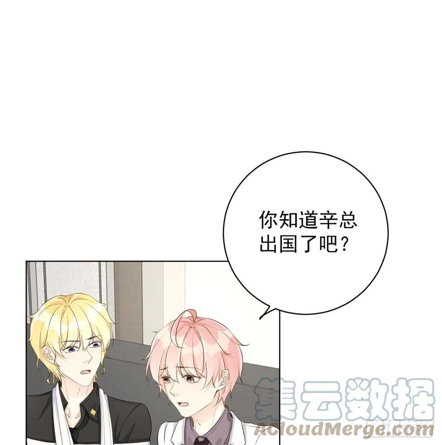 34 他更懂辛总15