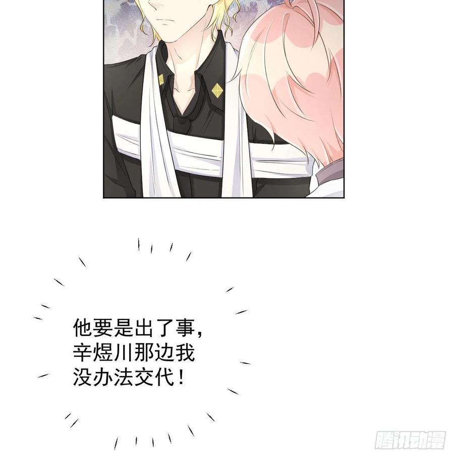 34 他更懂辛总22