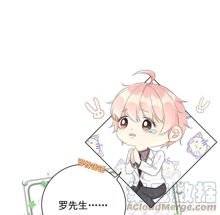 34 他更懂辛总9