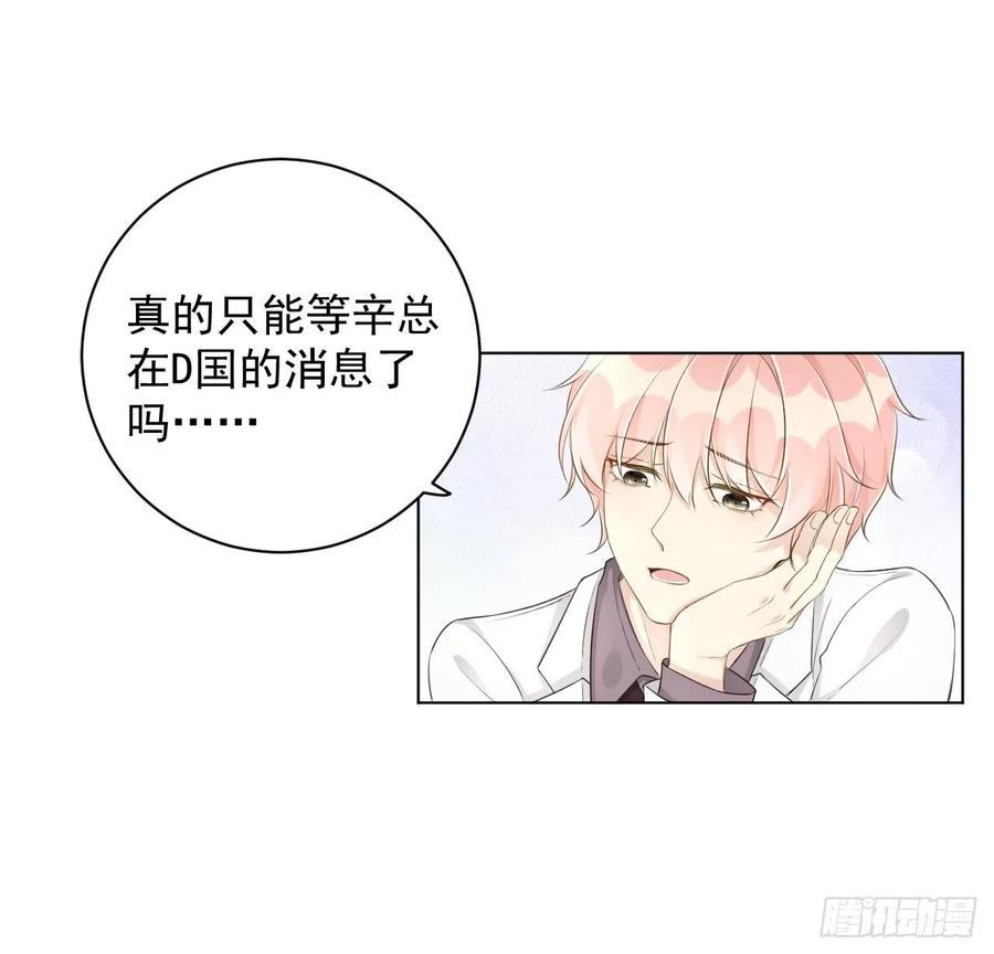 34 他更懂辛总25