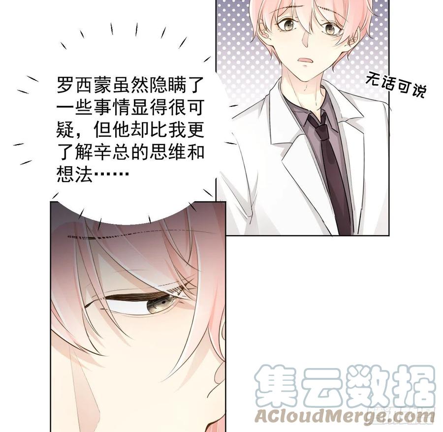 34 他更懂辛总42