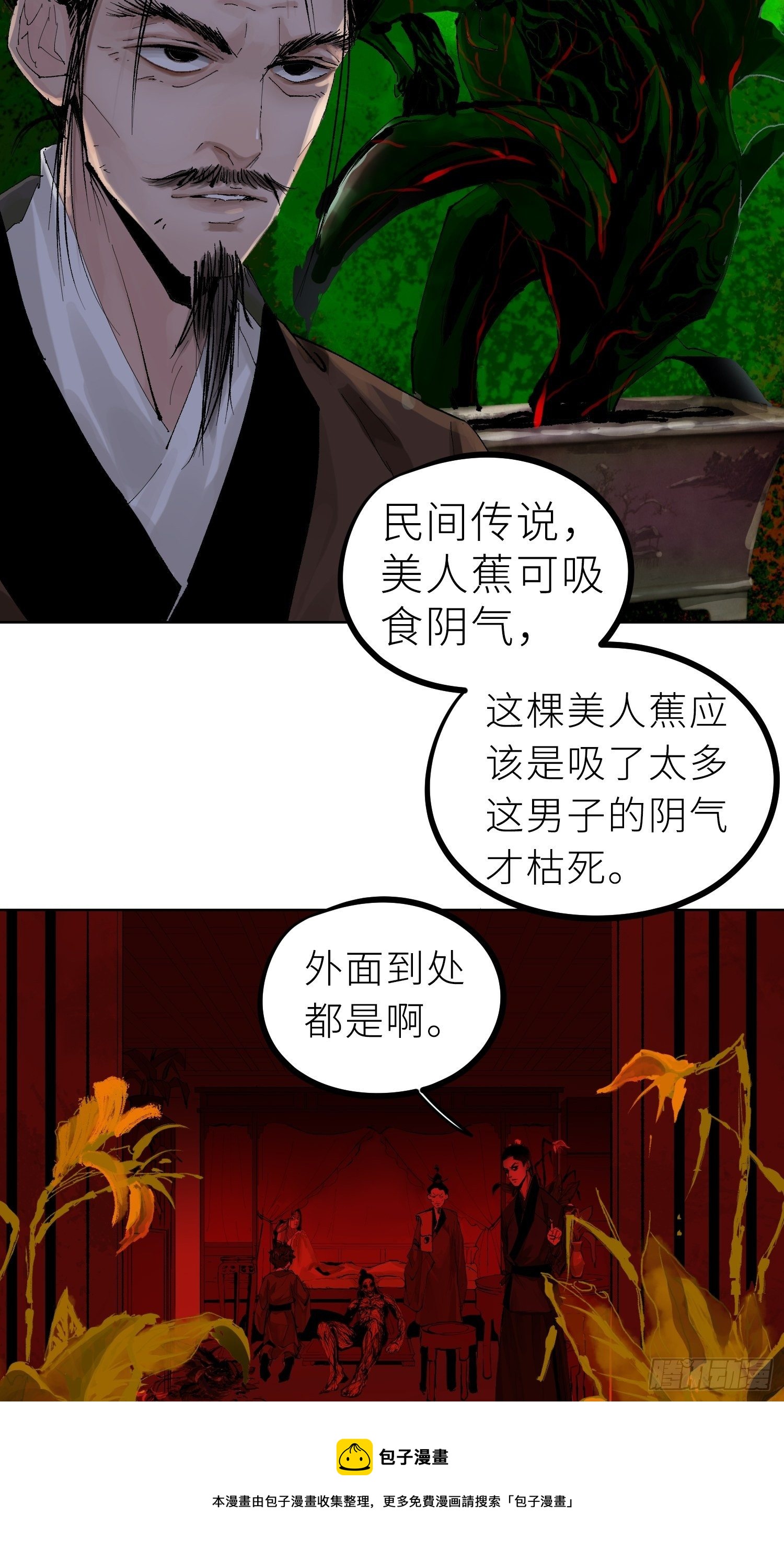 025美人蕉28
