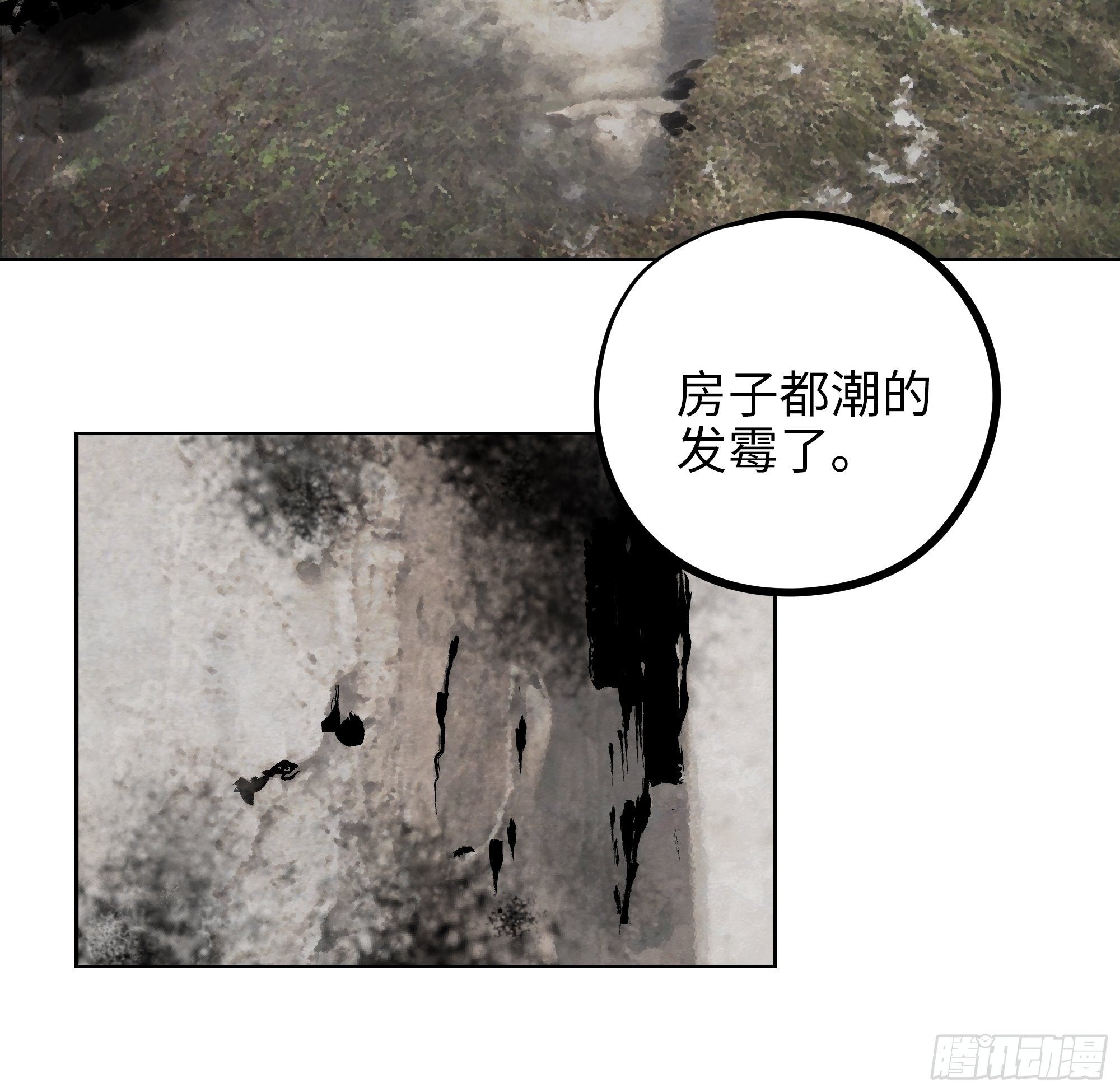 017猫死挂树，狗去水流23