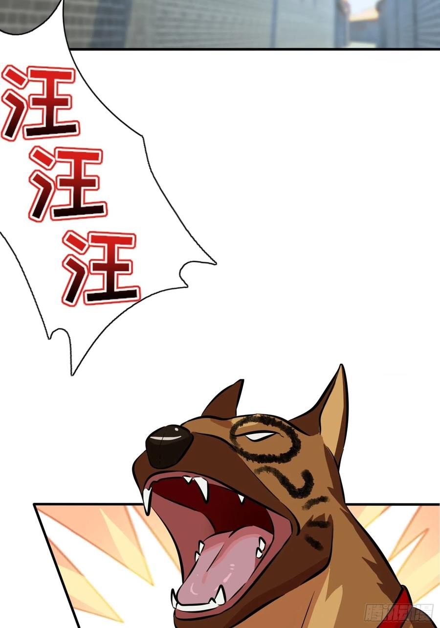 第43话：那天放狗追我的是你！2