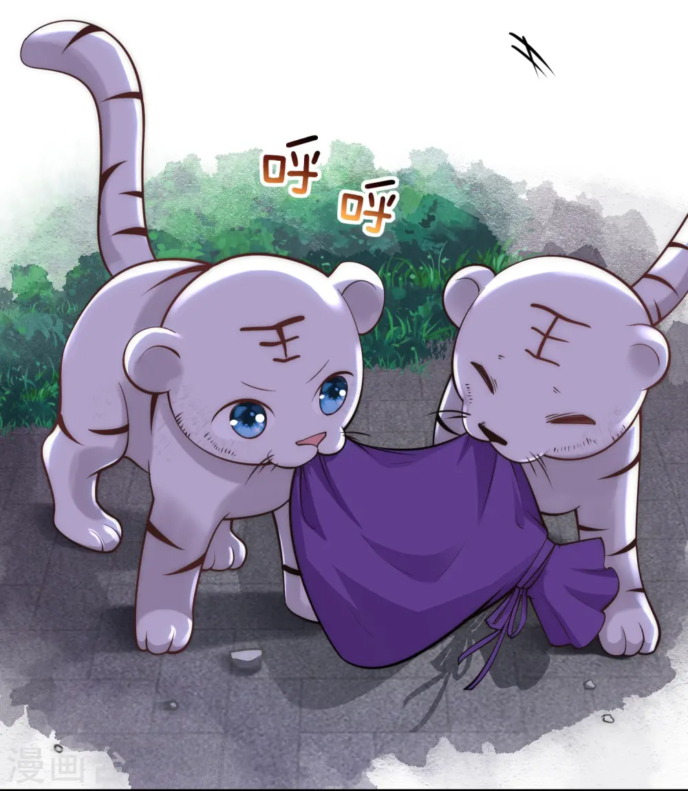 第33话 助攻神宠5