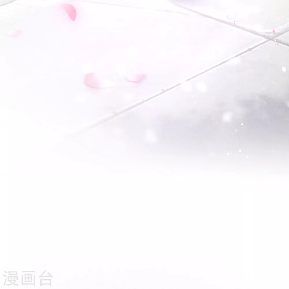 预告11
