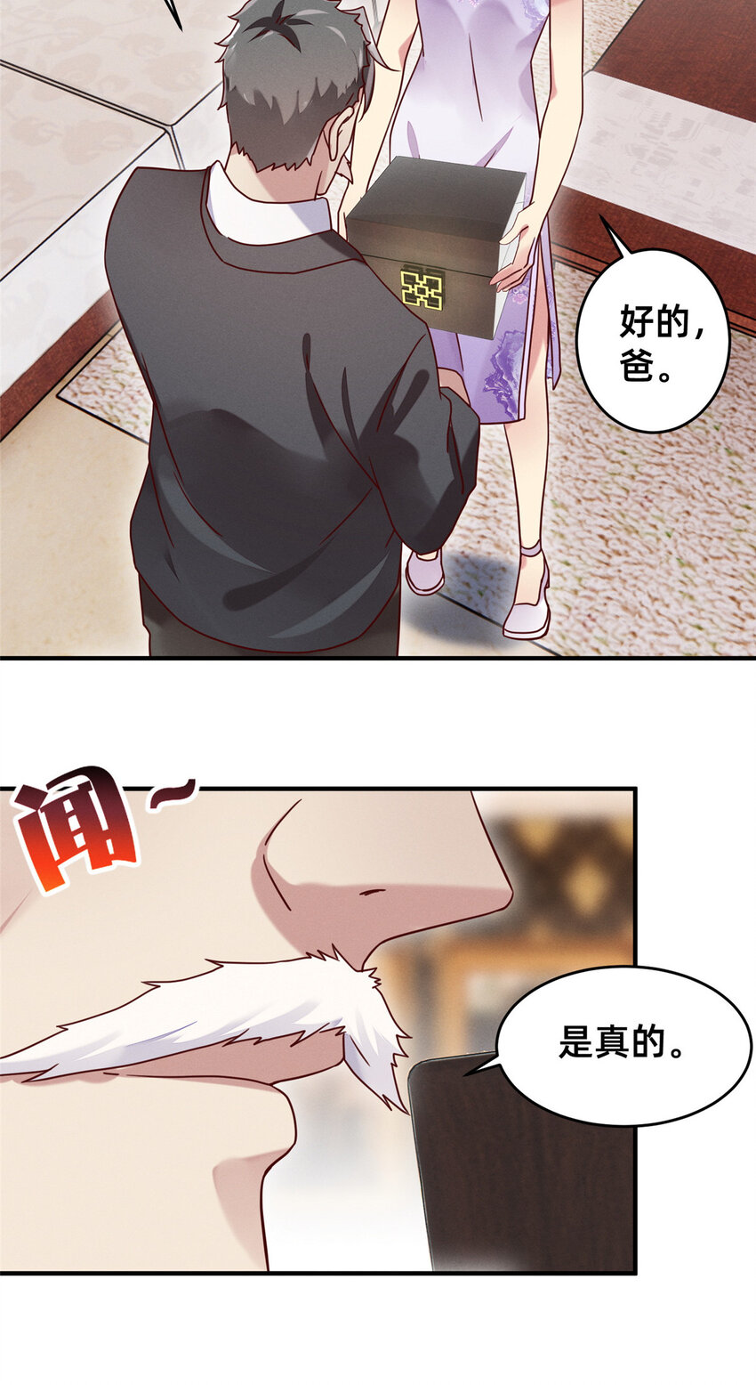 06 武夷山大红袍（下）46
