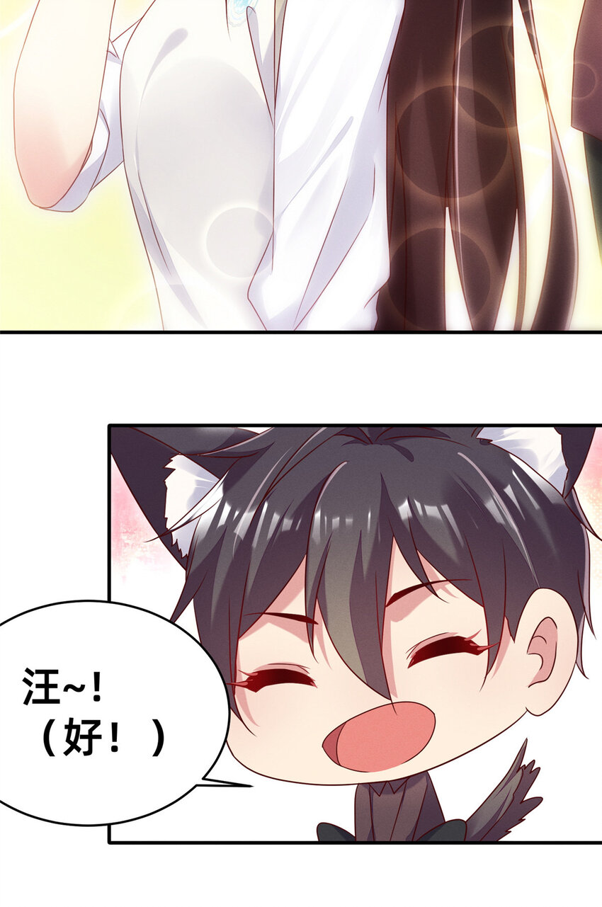 15 宣誓主权31