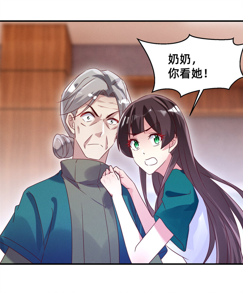 12 叶俪掌家31