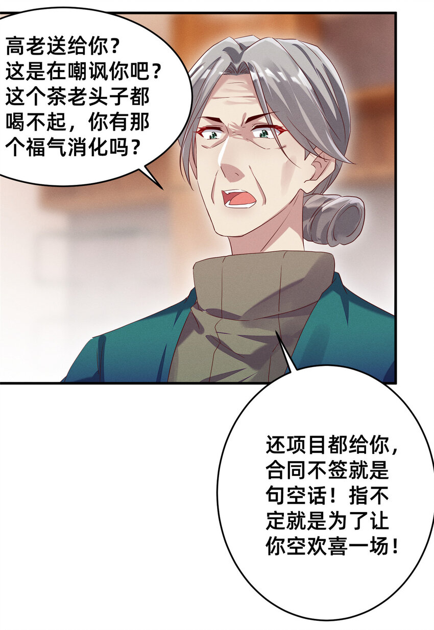 12 叶俪掌家2