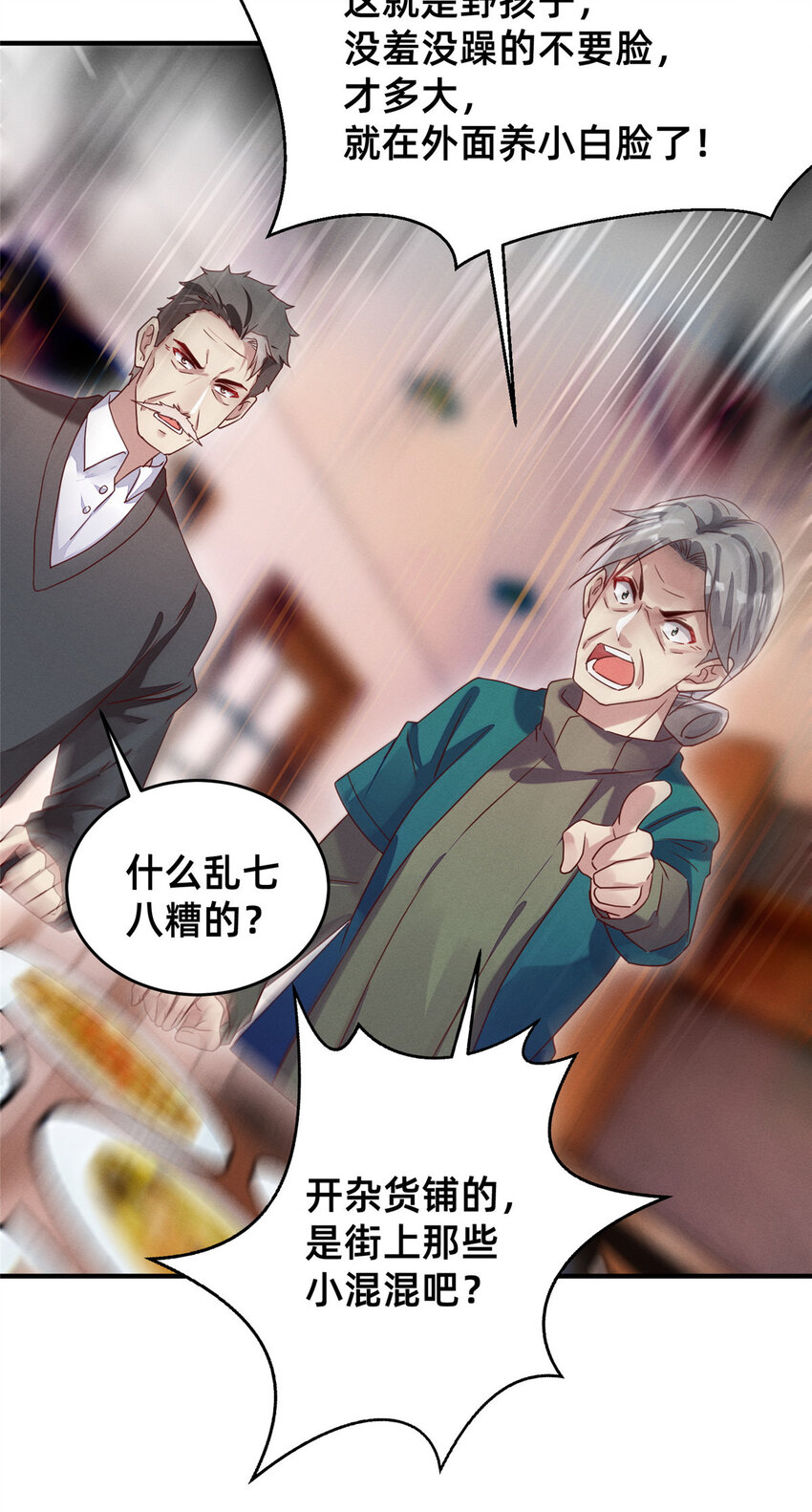 12 叶俪掌家26