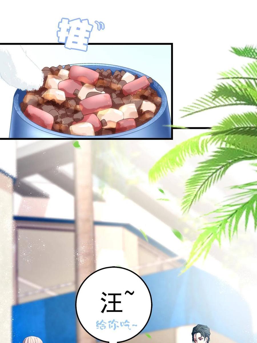 8043