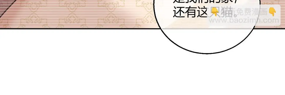 104 猫猫回归！23