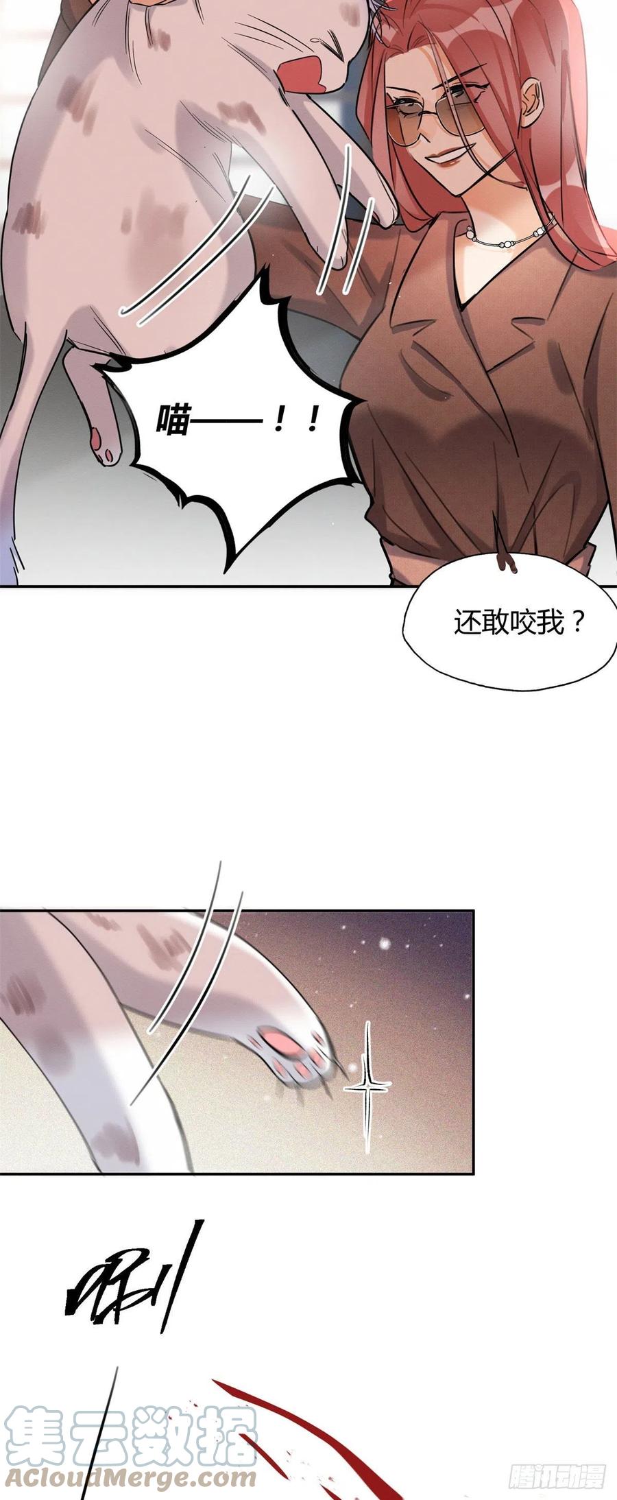 48英雄救猫狗6