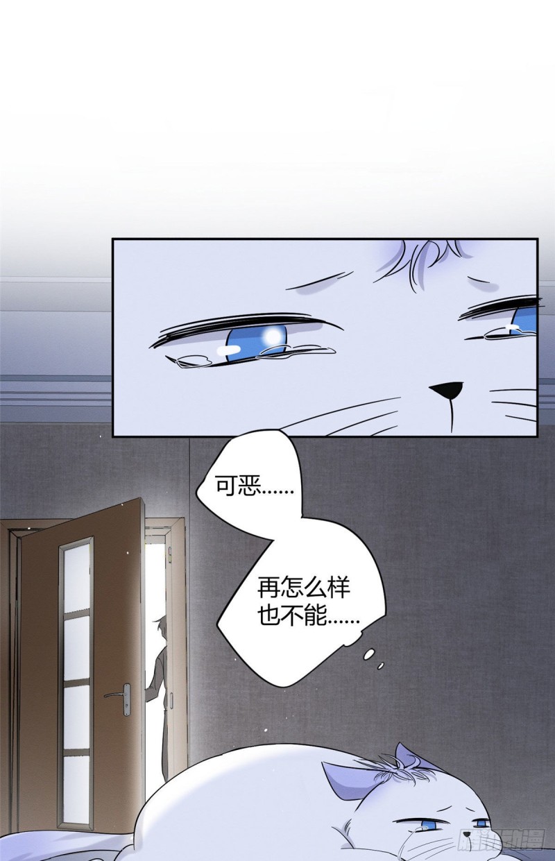 第38话 吻？能醒吗34