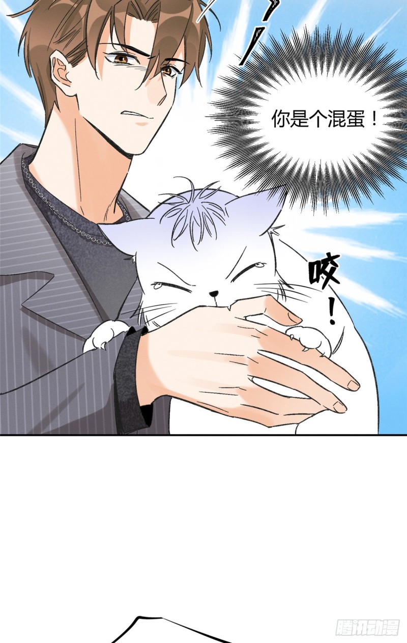 第35话 猫猫病啦19