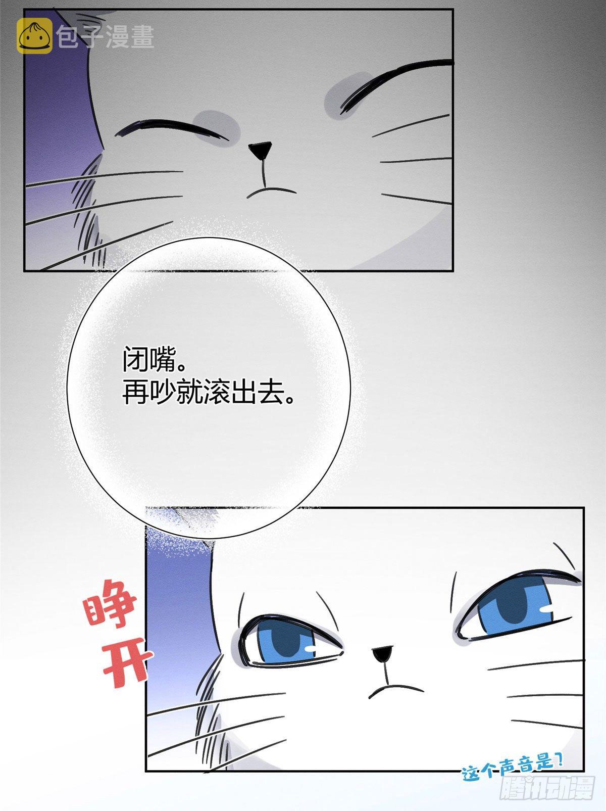 第1话 我变成猫了！54