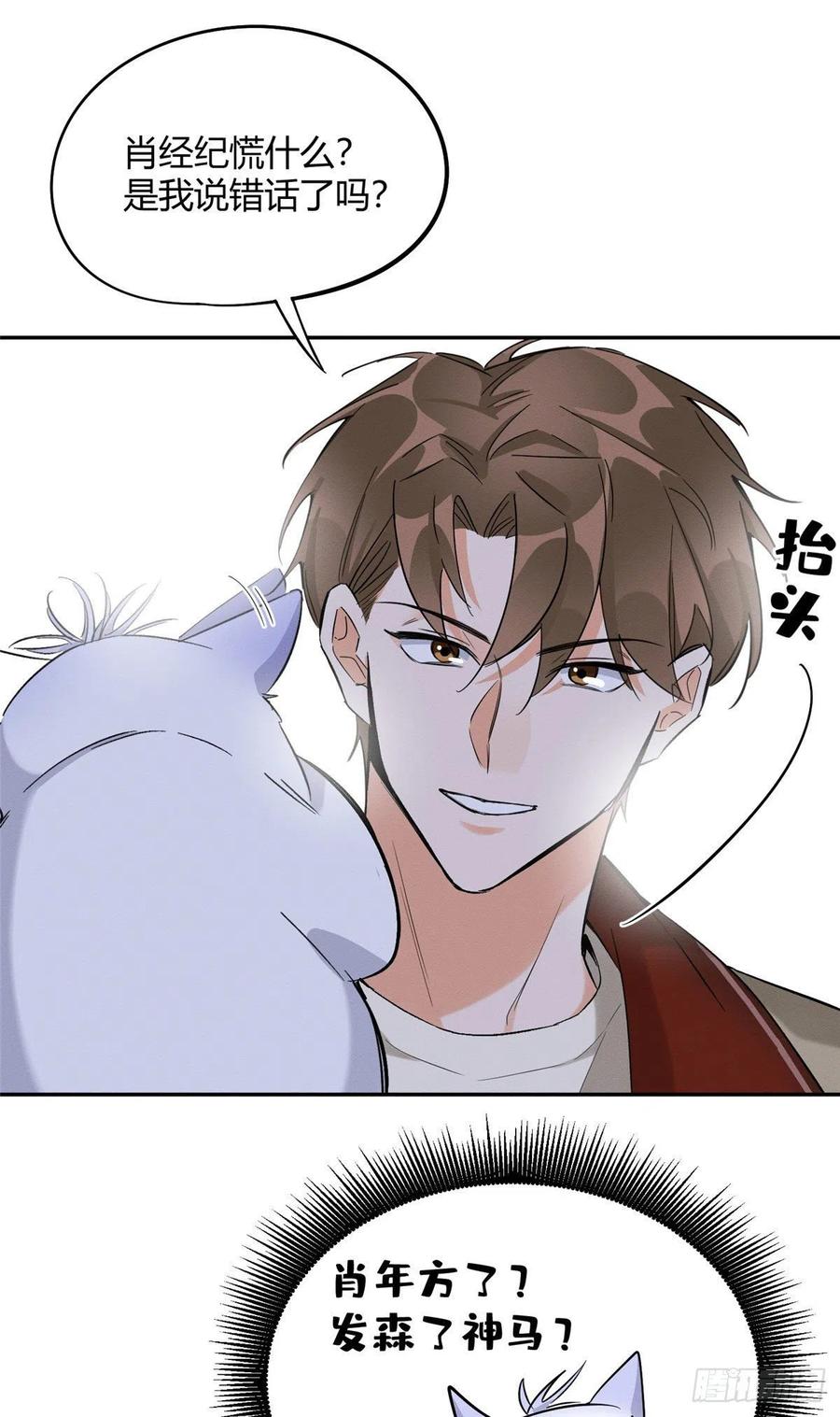 第33话 睹猫思人9