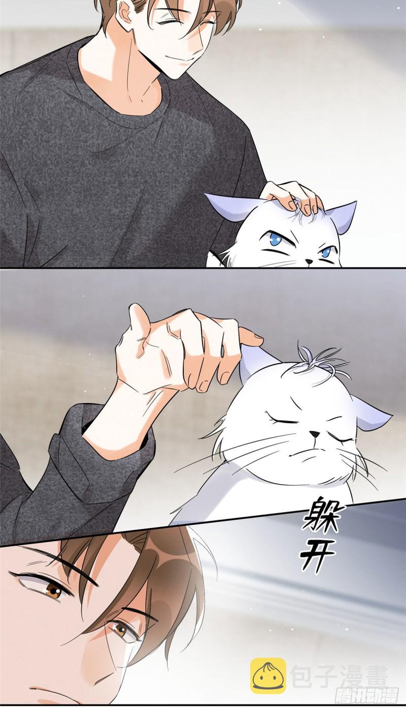 第38话 吻？能醒吗37