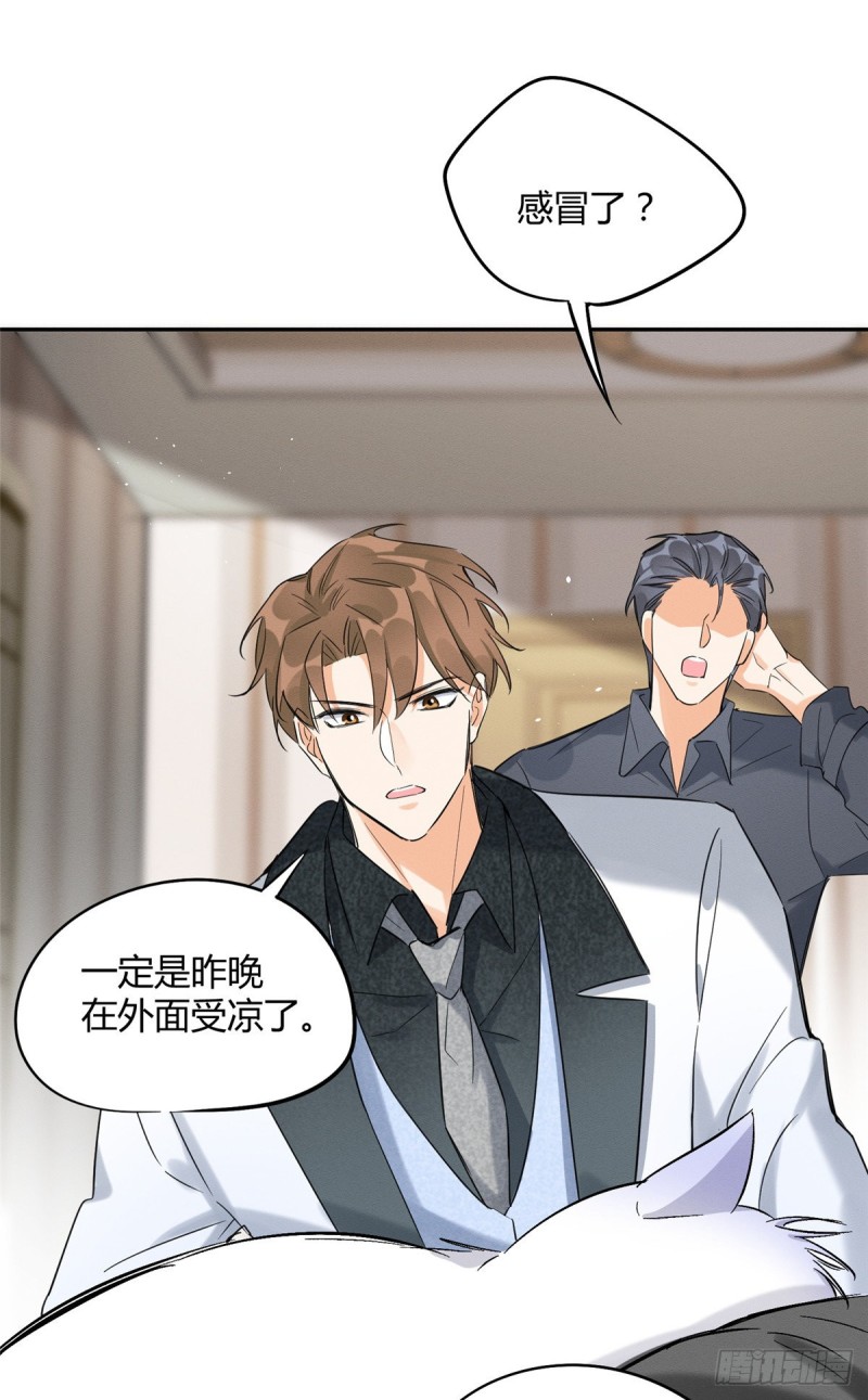 第35话 猫猫病啦9