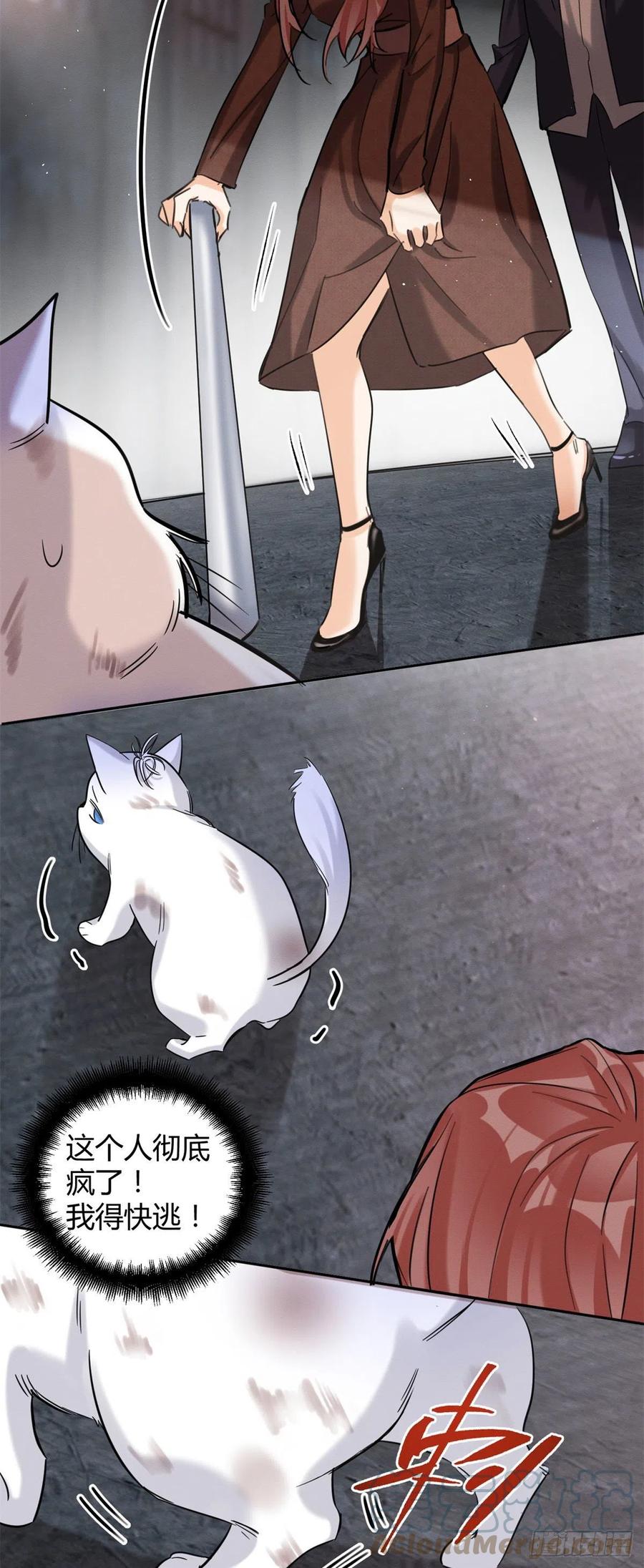 48英雄救猫狗12