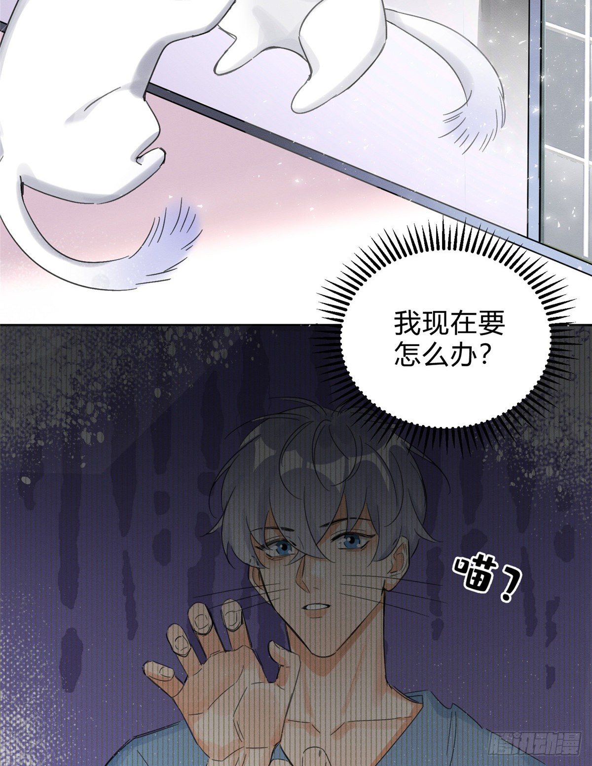 第2话 我来照顾他吧！4