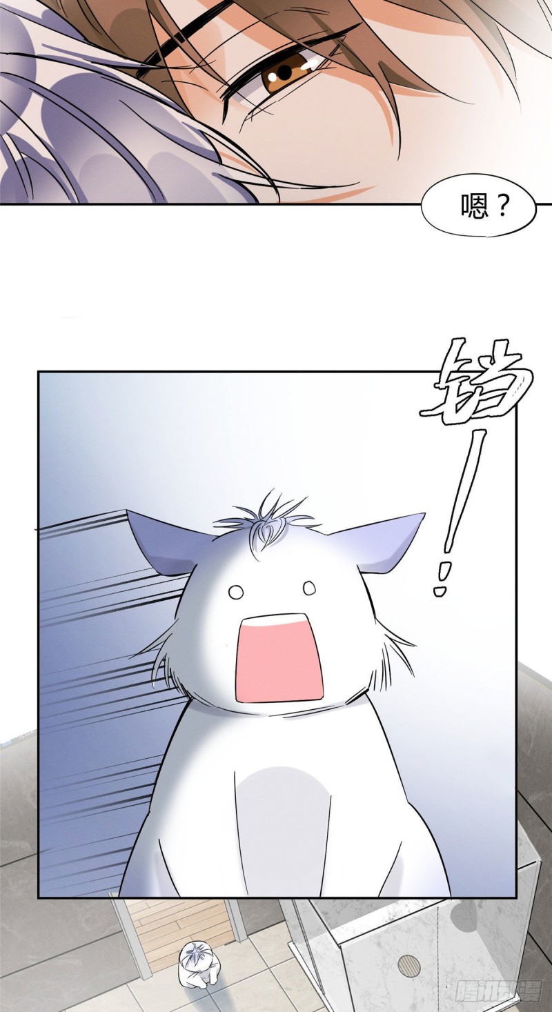 第38话 吻？能醒吗28