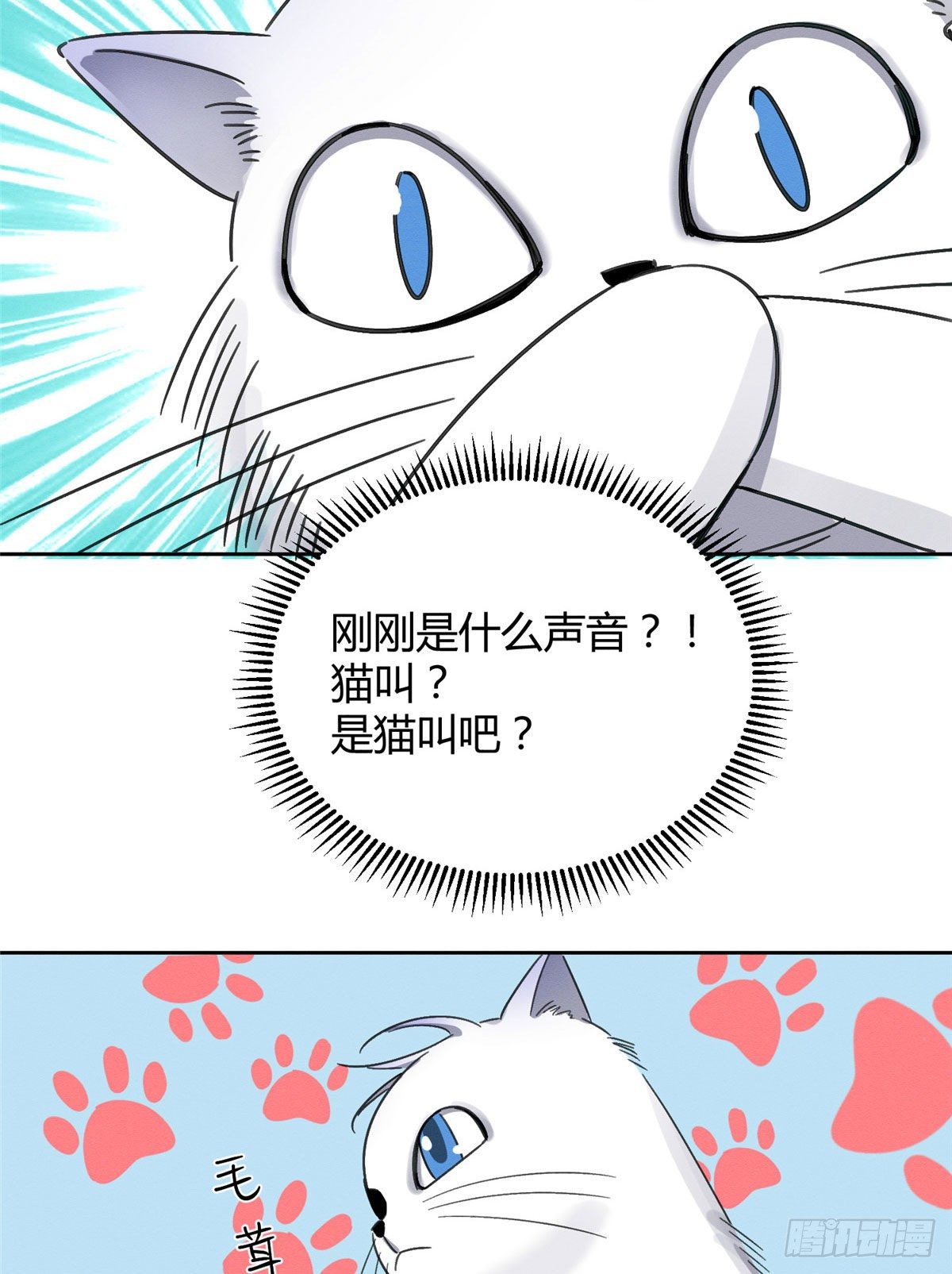 第1话 我变成猫了！57