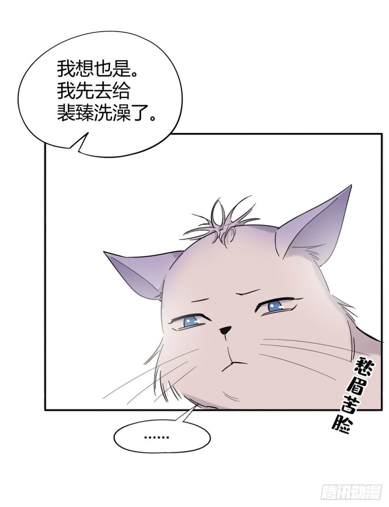 第38话 吻？能醒吗14