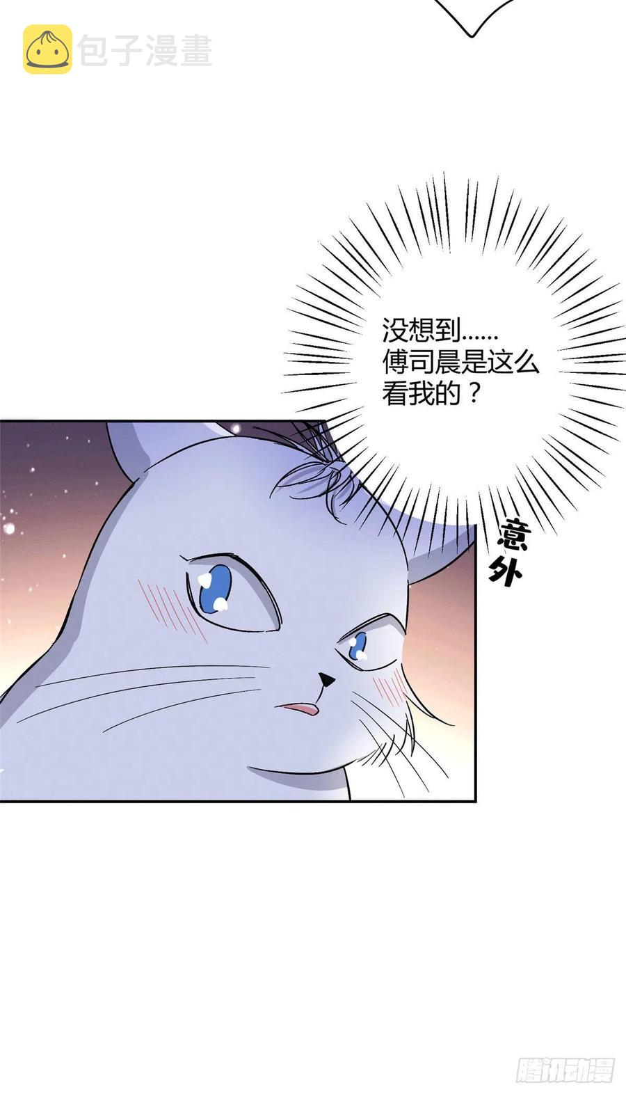 第32话 人会变成猫吗？19