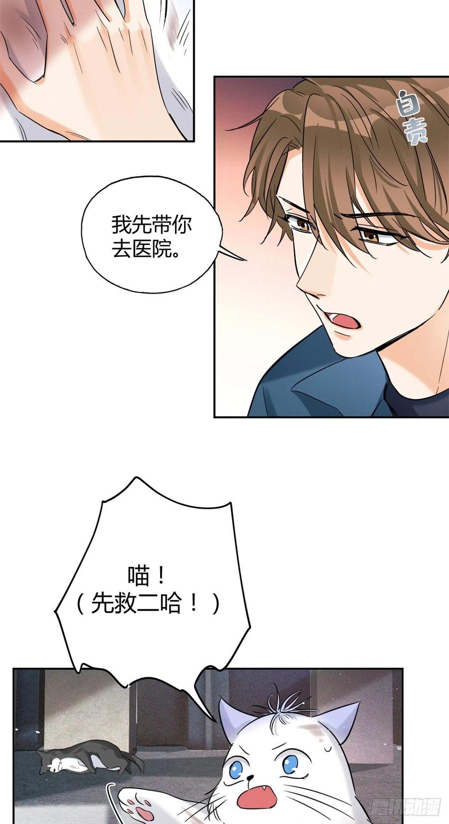 48英雄救猫狗21