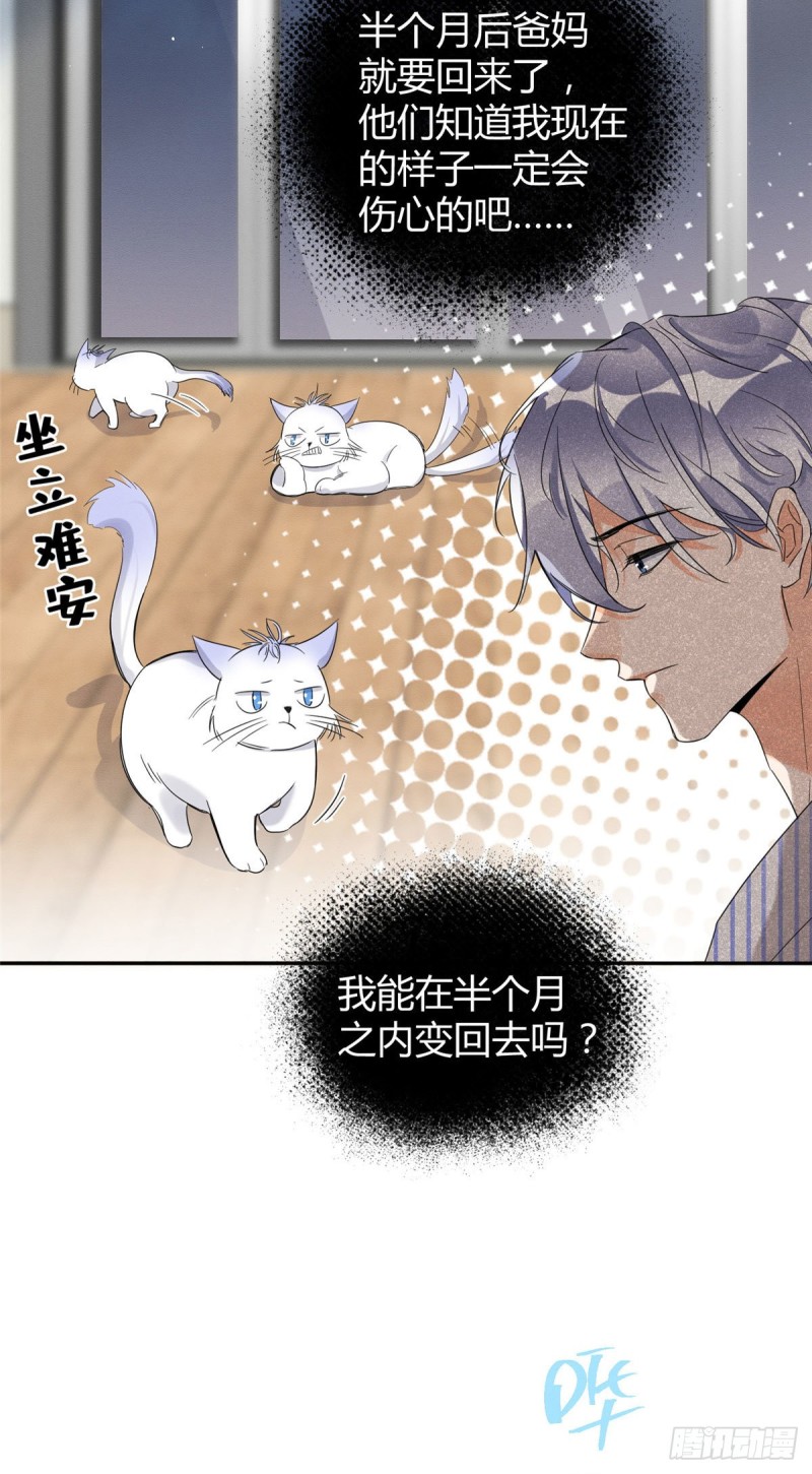 第38话 吻？能醒吗24