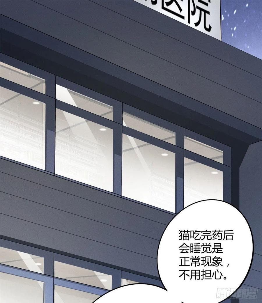 第36话 变成猫怎么恢复？7