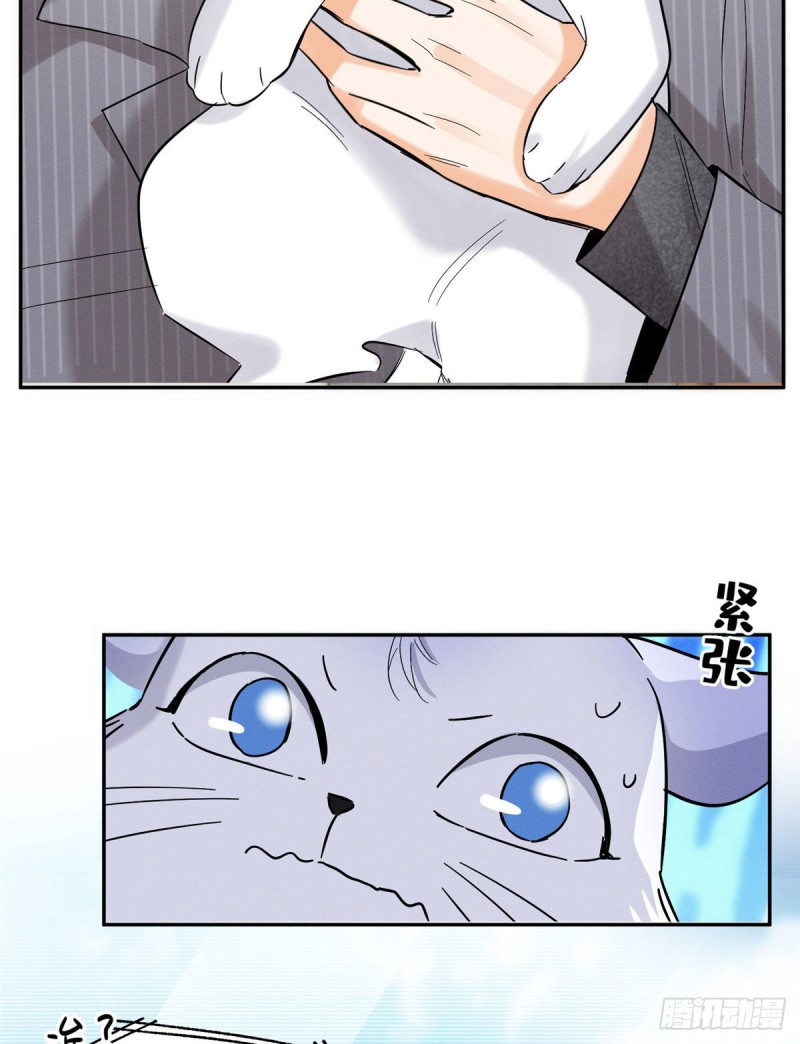 第38话 吻？能醒吗2
