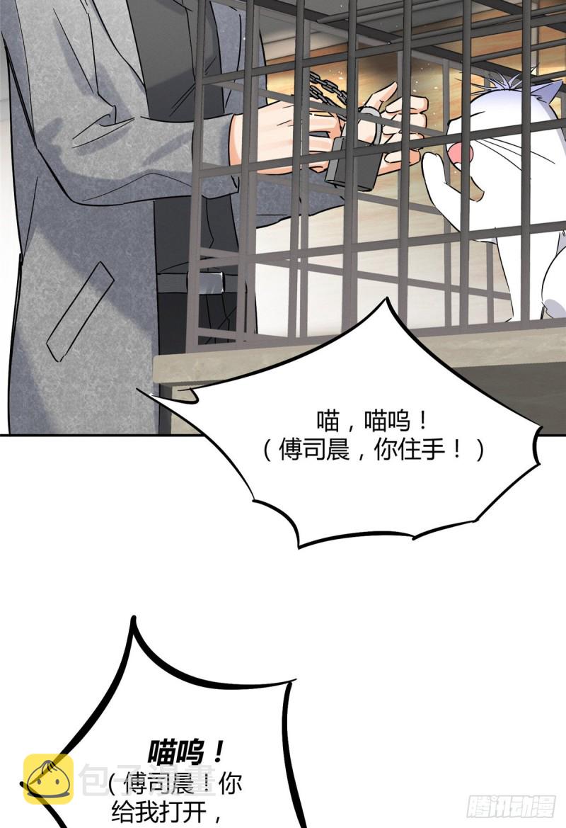 第27话 仗着我喜欢你3