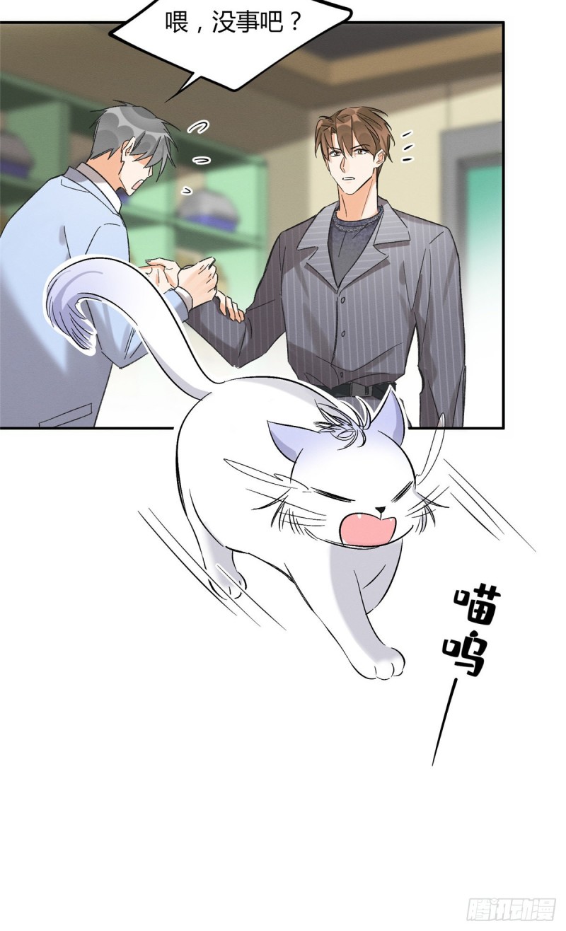 第35话 猫猫病啦20