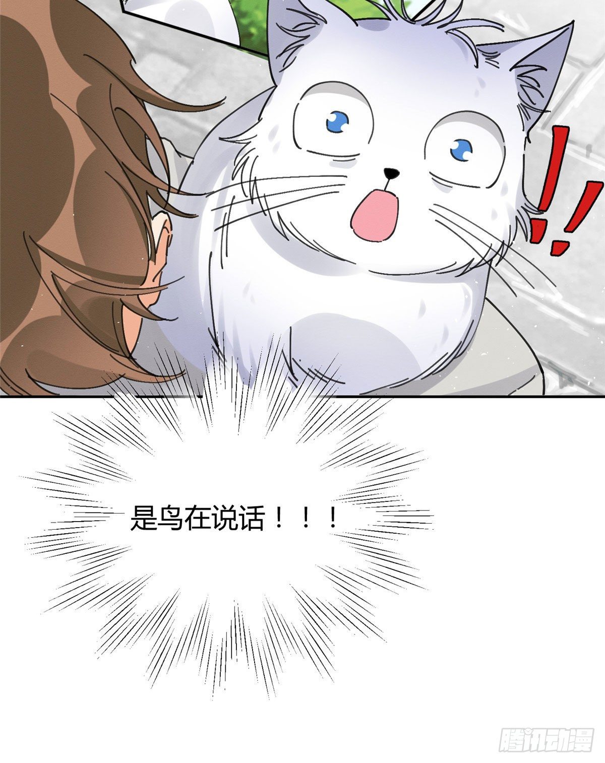 第16话 你哭了？36