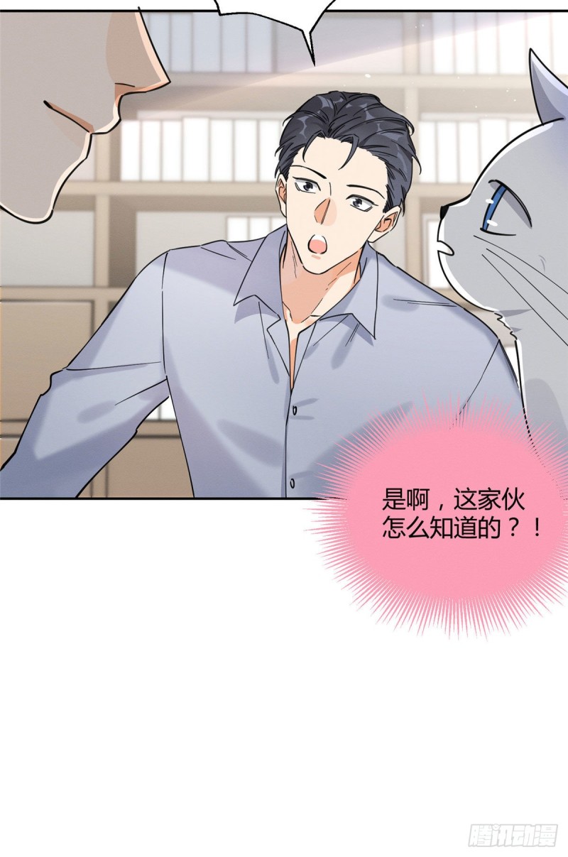 第19话 营业！28