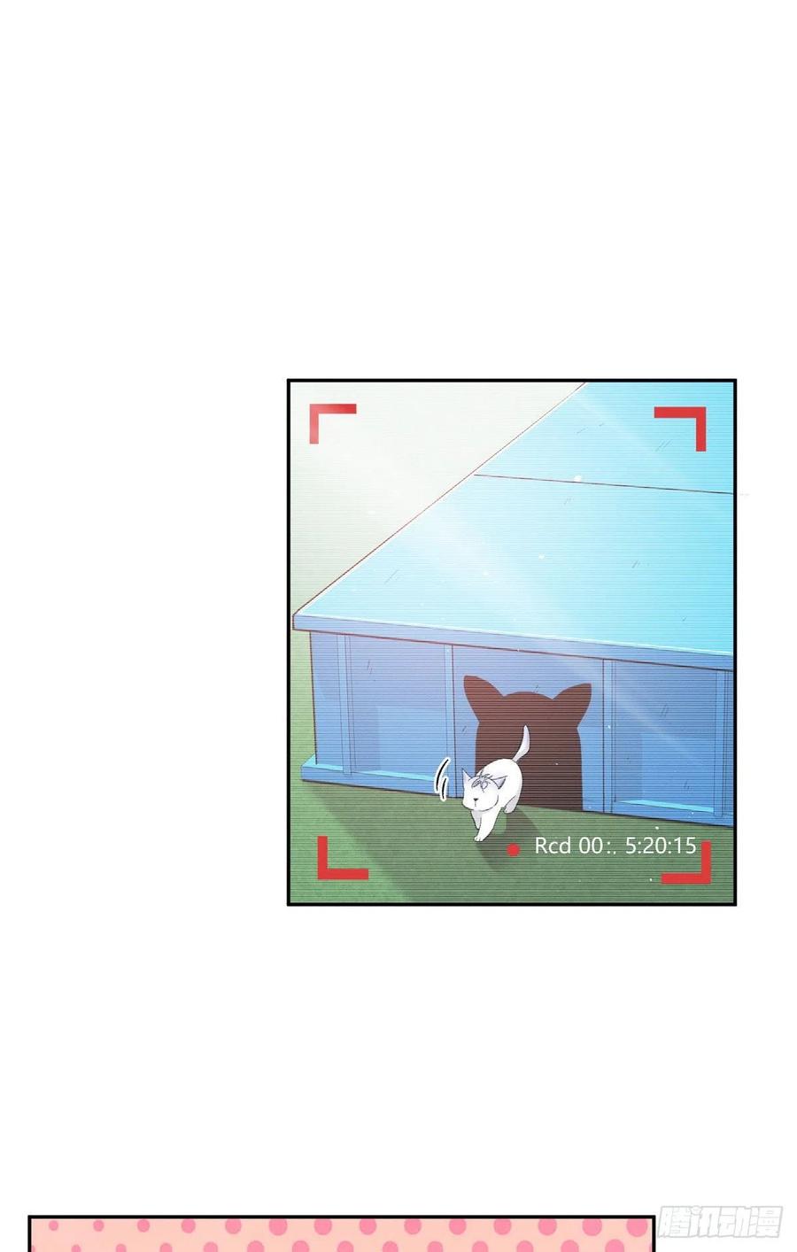 第42话 喜欢的模样22