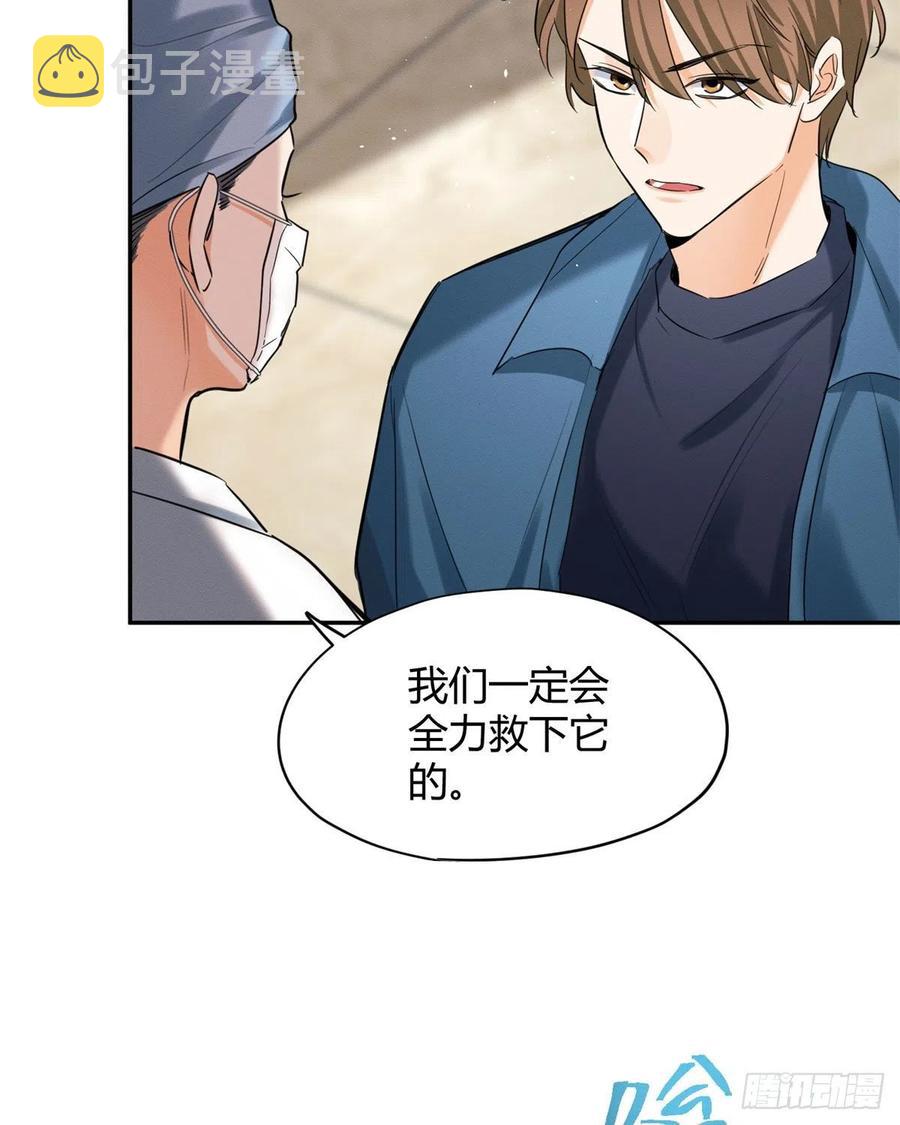 48英雄救猫狗35