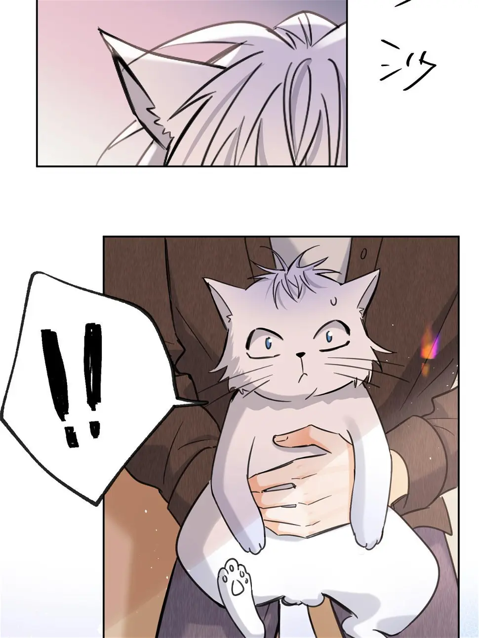104 猫猫回归！8
