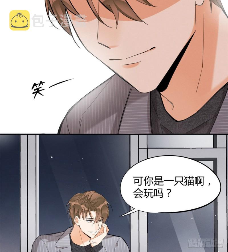 第37话 你就是裴臻12