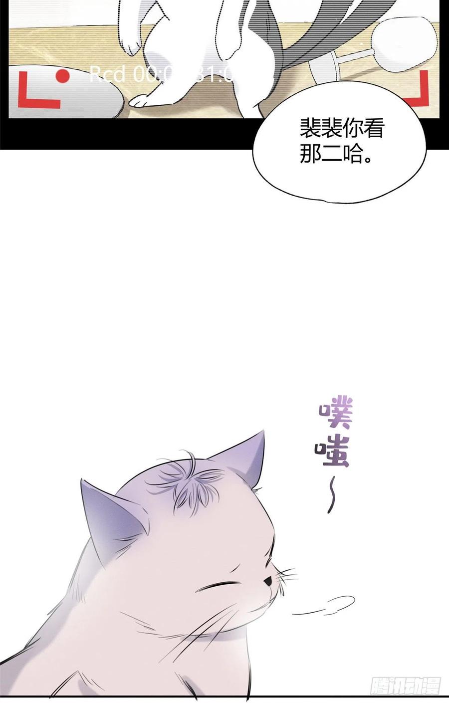 第40话 舔一舔19