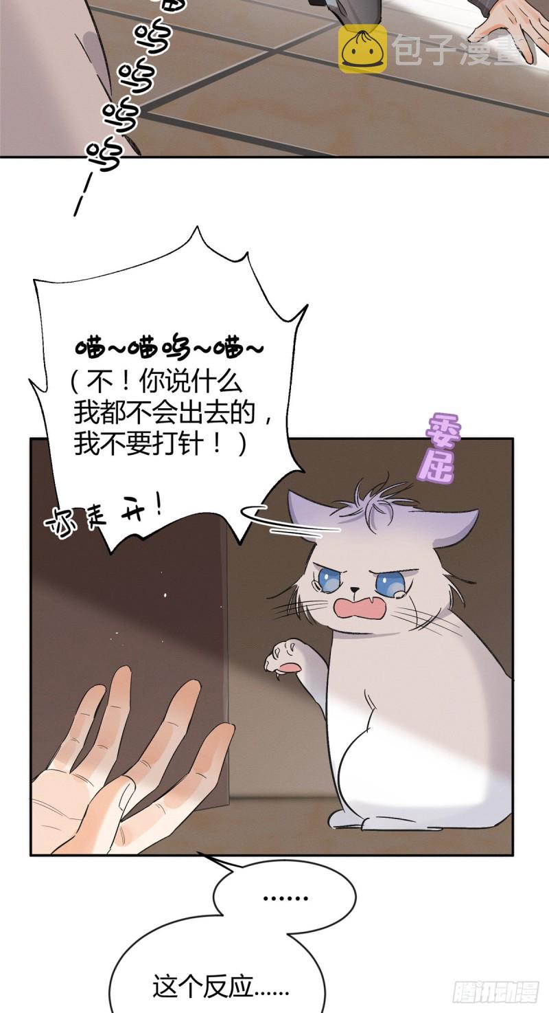 第35话 猫猫病啦23