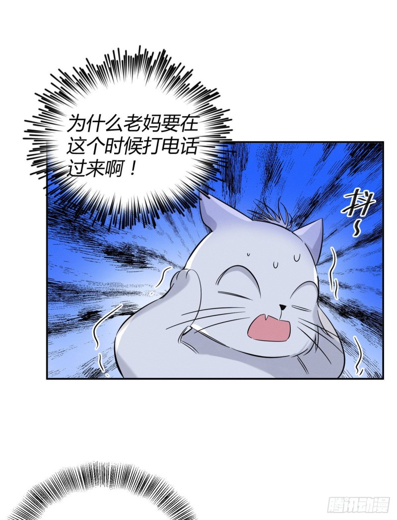 第37话 你就是裴臻33