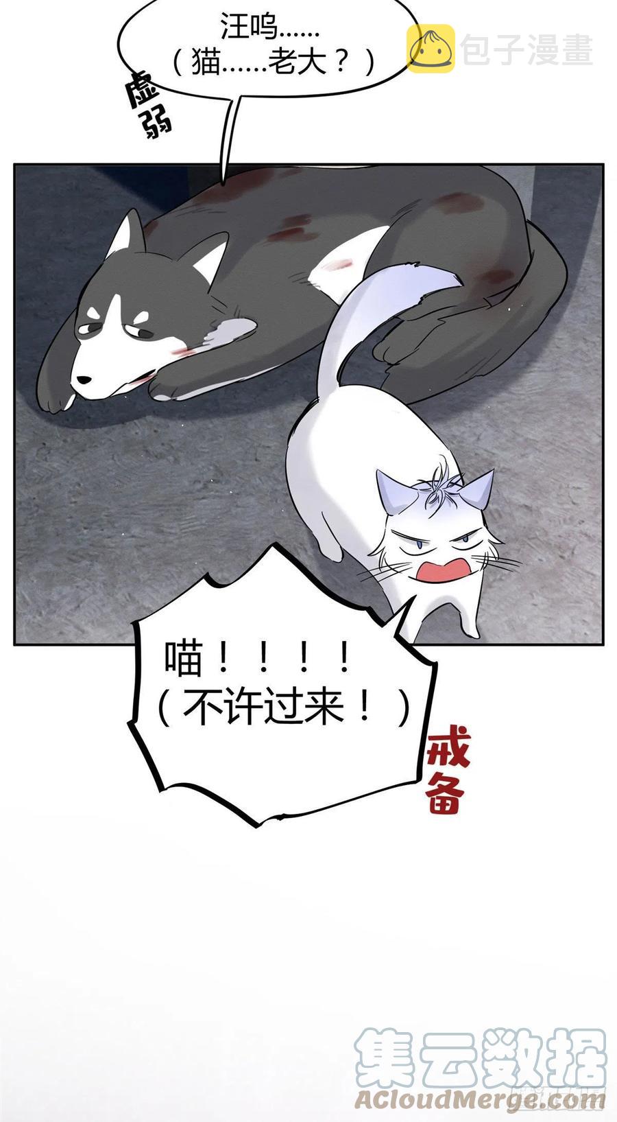 47坏女人！51